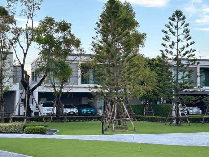 รูป 🏠 ให้เช่าบ้าน : Centro Bangna (เซนโทร บางนา)   รหัสทรัพย์ | 📌LNP-H822 - รูปที่ 13/24