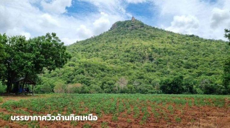 รูป ขายที่ดินภูเขาไฟ บ้านหนองสะแกสี่ ต.โคกสะอาด อ.ศรีเทพ จ.เพชรบูรณ์(ห่างทางหลวง หมายเลข21 8 กม.หรือ 15 นาทีจากตัวอำเภอ) - รูปที่ 2/14