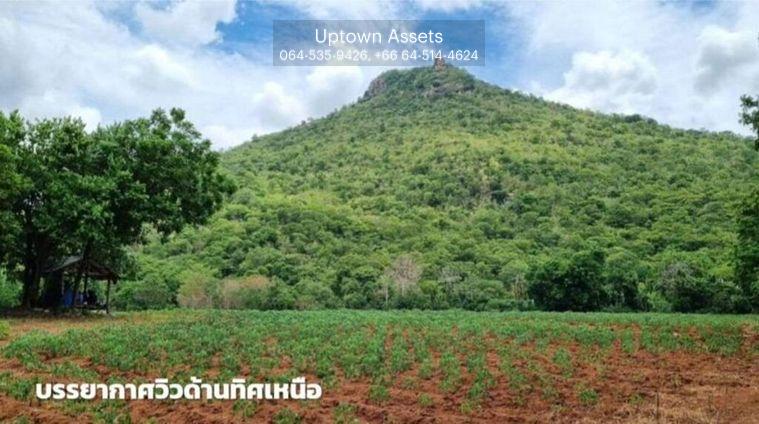 รูป ขายที่ดินภูเขาไฟ บ้านหนองสะแกสี่ ต.โคกสะอาด อ.ศรีเทพ จ.เพชรบูรณ์(ห่างทางหลวง หมายเลข21 8 กม.หรือ 15 นาทีจากตัวอำเภอ) - รูปที่ 2/14