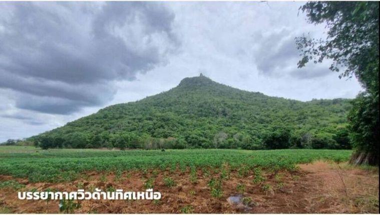 รูป ขายที่ดินภูเขาไฟ บ้านหนองสะแกสี่ ต.โคกสะอาด อ.ศรีเทพ จ.เพชรบูรณ์(ห่างทางหลวง หมายเลข21 8 กม.หรือ 15 นาทีจากตัวอำเภอ) - รูปที่ 1/14