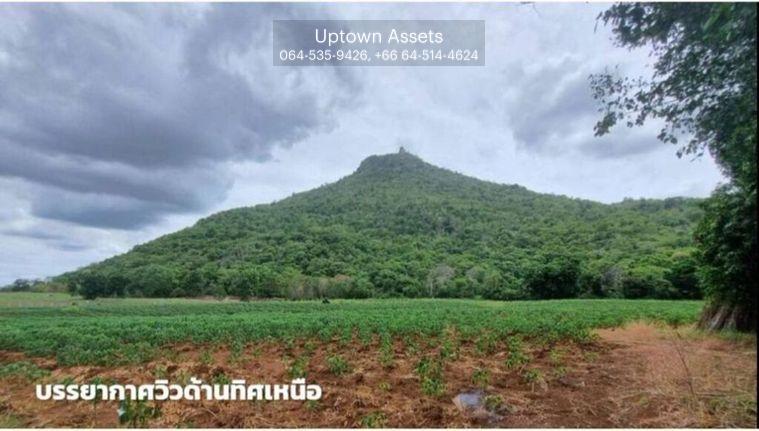 รูป ขายที่ดินภูเขาไฟ บ้านหนองสะแกสี่ ต.โคกสะอาด อ.ศรีเทพ จ.เพชรบูรณ์(ห่างทางหลวง หมายเลข21 8 กม.หรือ 15 นาทีจากตัวอำเภอ) - รูปที่ 1/14