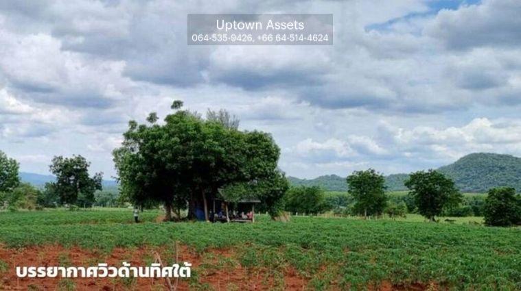 รูป ขายที่ดินภูเขาไฟ บ้านหนองสะแกสี่ ต.โคกสะอาด อ.ศรีเทพ จ.เพชรบูรณ์(ห่างทางหลวง หมายเลข21 8 กม.หรือ 15 นาทีจากตัวอำเภอ) - รูปที่ 5/14