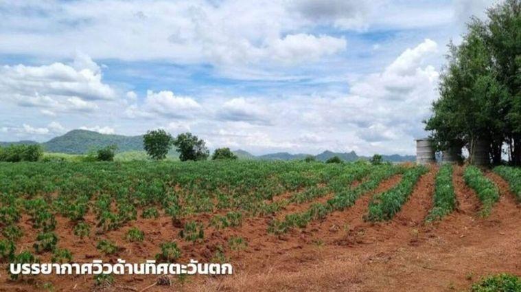รูป ขายที่ดินภูเขาไฟ บ้านหนองสะแกสี่ ต.โคกสะอาด อ.ศรีเทพ จ.เพชรบูรณ์(ห่างทางหลวง หมายเลข21 8 กม.หรือ 15 นาทีจากตัวอำเภอ) - รูปที่ 10/14