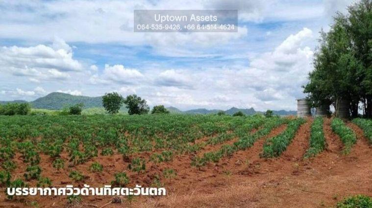 รูป ขายที่ดินภูเขาไฟ บ้านหนองสะแกสี่ ต.โคกสะอาด อ.ศรีเทพ จ.เพชรบูรณ์(ห่างทางหลวง หมายเลข21 8 กม.หรือ 15 นาทีจากตัวอำเภอ) - รูปที่ 10/14