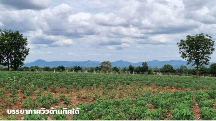 รูป ขายที่ดินภูเขาไฟ บ้านหนองสะแกสี่ ต.โคกสะอาด อ.ศรีเทพ จ.เพชรบูรณ์(ห่างทางหลวง หมายเลข21 8 กม.หรือ 15 นาทีจากตัวอำเภอ) - รูปที่ 6/14