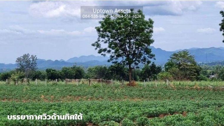 รูป ขายที่ดินภูเขาไฟ บ้านหนองสะแกสี่ ต.โคกสะอาด อ.ศรีเทพ จ.เพชรบูรณ์(ห่างทางหลวง หมายเลข21 8 กม.หรือ 15 นาทีจากตัวอำเภอ) - รูปที่ 3/14