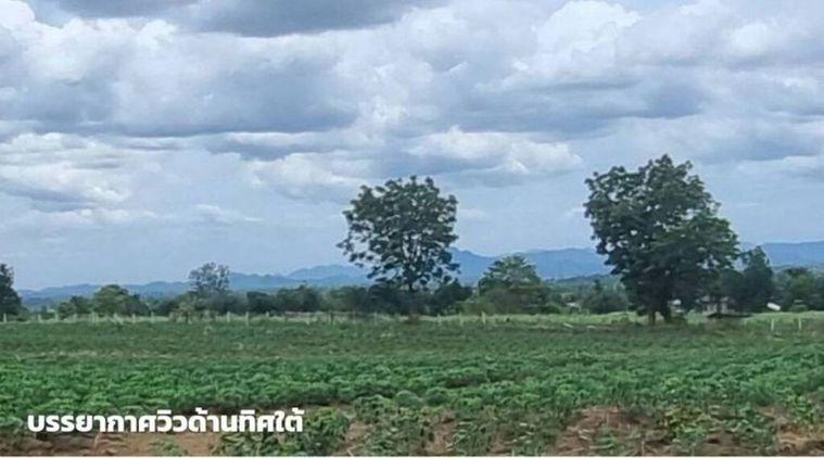รูป ขายที่ดินภูเขาไฟ บ้านหนองสะแกสี่ ต.โคกสะอาด อ.ศรีเทพ จ.เพชรบูรณ์(ห่างทางหลวง หมายเลข21 8 กม.หรือ 15 นาทีจากตัวอำเภอ) - รูปที่ 4/14