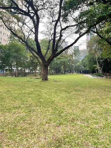 รูป 🏢 ขายคอนโด : THE LINE Phahonyothin Park (เดอะ ไลน์ พหลโยธิน พาร์ค)   รหัสทรัพย์ | 📌LNP-C12134 - รูปที่ 27/27