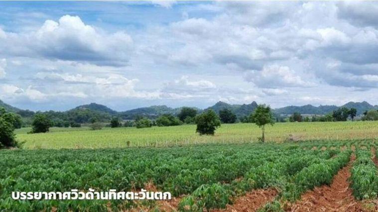 รูป ขายที่ดินภูเขาไฟ บ้านหนองสะแกสี่ ต.โคกสะอาด อ.ศรีเทพ จ.เพชรบูรณ์(ห่างทางหลวง หมายเลข21 8 กม.หรือ 15 นาทีจากตัวอำเภอ) - รูปที่ 8/14