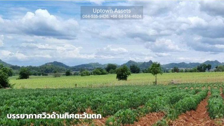 รูป ขายที่ดินภูเขาไฟ บ้านหนองสะแกสี่ ต.โคกสะอาด อ.ศรีเทพ จ.เพชรบูรณ์(ห่างทางหลวง หมายเลข21 8 กม.หรือ 15 นาทีจากตัวอำเภอ) - รูปที่ 8/14