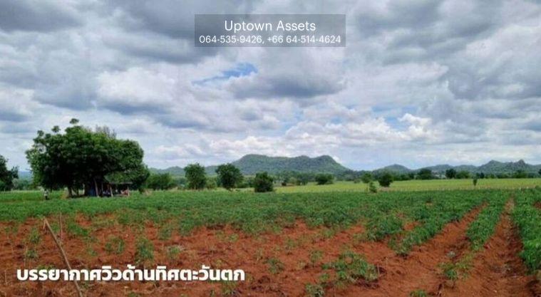 รูป ขายที่ดินภูเขาไฟ บ้านหนองสะแกสี่ ต.โคกสะอาด อ.ศรีเทพ จ.เพชรบูรณ์(ห่างทางหลวง หมายเลข21 8 กม.หรือ 15 นาทีจากตัวอำเภอ) - รูปที่ 7/14