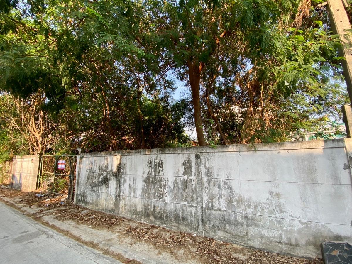 รูป ขายที่ดินทำเลศักยภาพ อินทามระ 37 ใจกลางเมือง เหมาะสร้างบ้านหรือพัฒนาอพาร์ทเมนต์ พื้นที่หายากในย่านนี้ - รูปที่ 4/8