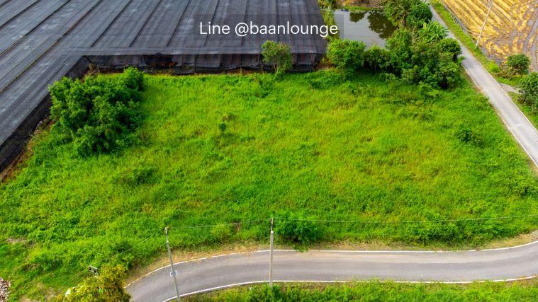 รูป ที่ดิน ติดถนน แปลงสวย บางใหญ่ นนทบุรี ถนน เลียบคลองตาแดง ซอย ประชาร่วมใจ เหมาะทำโกดัง Cafe บ้านสวน การเกษตร ศูนย์การเรียนรู้ MRT ตลาดบางใหญ่ - รูปที่ 3/8