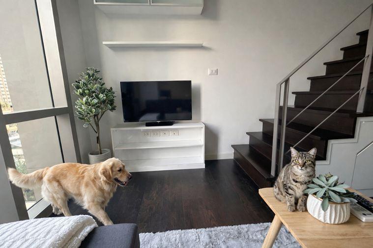 รูป 🍀🍀 🐶Pet Friendly🐱 ให้เช่า📌 ไอดีโอ มอร์ฟ 38(Line: @rent2022)BTS ทองหล่อ พร้อมเข้าอยู่ 🔖A07025 - รูปที่ 5/11