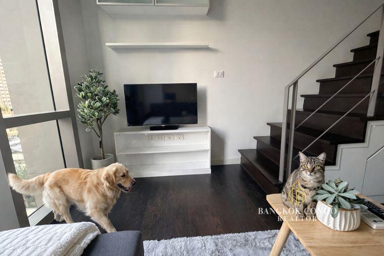 รูป 🍀🍀 🐶Pet Friendly🐱 ให้เช่า📌 ไอดีโอ มอร์ฟ 38(Line: @rent2022)BTS ทองหล่อ พร้อมเข้าอยู่ 🔖A07025 - รูปที่ 5/11