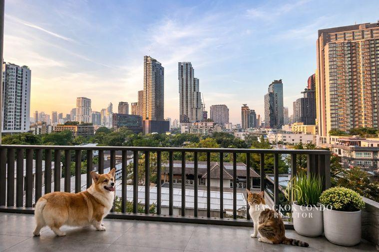 รูป 🍀🍀 🐶Pet Friendly🐱 ให้เช่า📌 ไอดีโอ มอร์ฟ 38(Line: @rent2022)BTS ทองหล่อ พร้อมเข้าอยู่ 🔖A07025 - รูปที่ 7/11