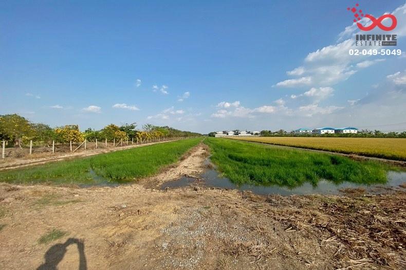 รูป ขายที่ดิน 6 ไร่ ลาดหลุมแก้ว ปทุมธานี ถนนบางบัวทอง-สุพรรณบุรี 340 ซอยคลองโซน 6   - รูปที่ 3/5
