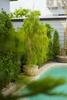 listing thumbnail image 23
