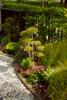 listing thumbnail image 27