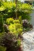 listing thumbnail image 21