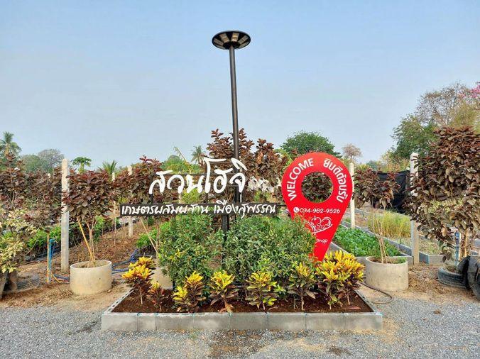 รูป Call : 065-663-3286 ขายที่ดินสุพรรณบุรี สวนโฮจิ 3 ไร่ (ได้ที่งอกด้านหน้า 1 ไร่ รวม 4 ไร่) หน้ากว้าง 100 เมตร ติดถนน 3502 หนองหญ้าไซ สุพรรณบุรี - รูปที่ 6/13