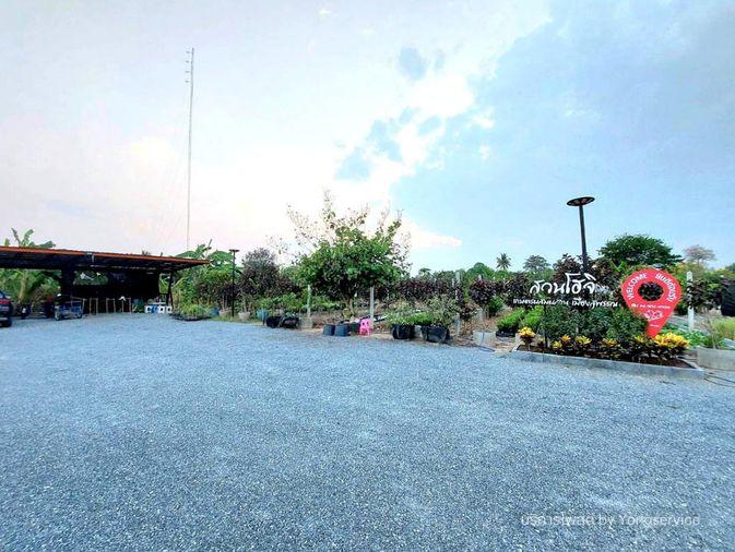 รูป Call : 065-663-3286 ขายที่ดินสุพรรณบุรี สวนโฮจิ 3 ไร่ (ได้ที่งอกด้านหน้า 1 ไร่ รวม 4 ไร่) หน้ากว้าง 100 เมตร ติดถนน 3502 หนองหญ้าไซ สุพรรณบุรี - รูปที่ 5/13