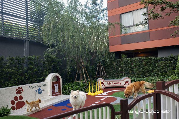 รูป 🍀🍀 Pet-Friendly 🐶🐱 ให้เช่า📌 เดอะ มูฟ บางนา (Line:@rent2022)BTS  แบริ่ง ✨พร้อมเข้าอยู่  ✨ A10991  - รูปที่ 5/7
