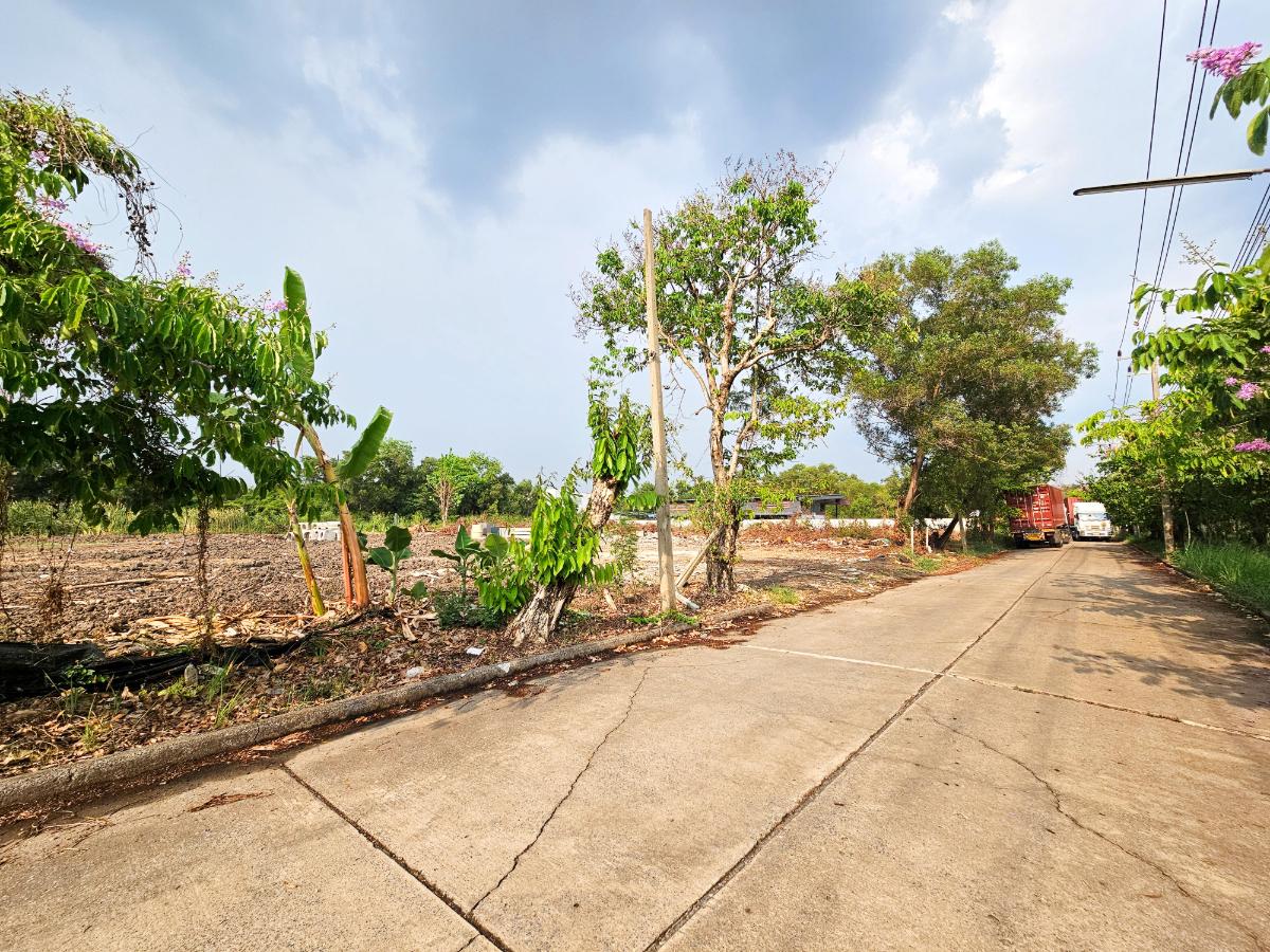 รูป ขาย ที่ดินเปล่า 6 ไร่ คลอง 3 อ.คลองหลวง ปทุมธานี ถมแล้ว แปลงสี่เหลี่ยมสวย  - รูปที่ 6/6
