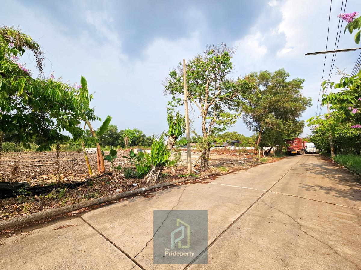 รูป ขาย ที่ดินเปล่า 6 ไร่ คลอง 3 อ.คลองหลวง ปทุมธานี ถมแล้ว แปลงสี่เหลี่ยมสวย - รูปที่ 6/6