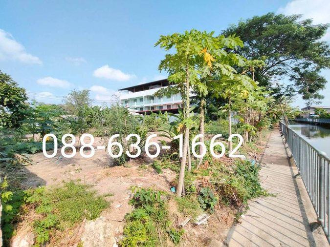รูป ขายที่ดิน 206ตรว.ทำเลดี พิกัด บางแค เพชรเกษม หนองแขม ใกล้ อพาร์ทเม้นท์ โรงเรียน ตลาด ฯ - รูปที่ 6/11