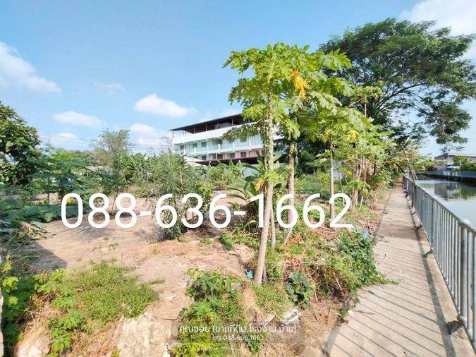 รูป ขายที่ดิน 206ตรว.ทำเลดี พิกัด บางแค เพชรเกษม หนองแขม ใกล้ อพาร์ทเม้นท์ โรงเรียน ตลาด ฯ - รูปที่ 6/11