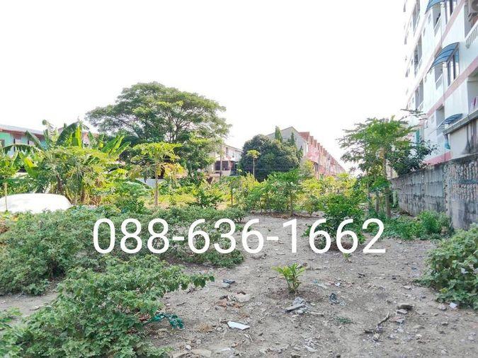 รูป ขายที่ดิน 206ตรว.ทำเลดี พิกัด บางแค เพชรเกษม หนองแขม ใกล้ อพาร์ทเม้นท์ โรงเรียน ตลาด ฯ - รูปที่ 10/11