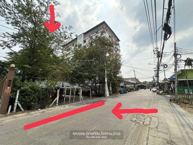 รูป ขายที่ดิน 206ตรว.ทำเลดี พิกัด บางแค เพชรเกษม หนองแขม ใกล้ อพาร์ทเม้นท์ โรงเรียน ตลาด ฯ - รูปที่ 1/11