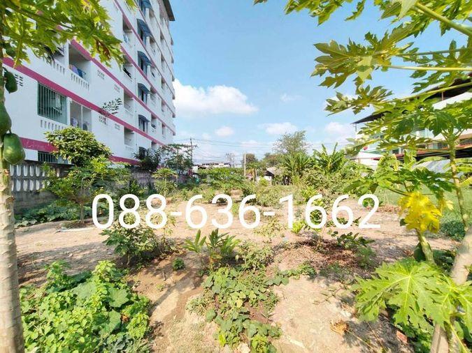 รูป ขายที่ดิน 206ตรว.ทำเลดี พิกัด บางแค เพชรเกษม หนองแขม ใกล้ อพาร์ทเม้นท์ โรงเรียน ตลาด ฯ - รูปที่ 5/11