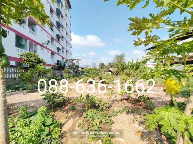 รูป ขายที่ดิน 206ตรว.ทำเลดี พิกัด บางแค เพชรเกษม หนองแขม ใกล้ อพาร์ทเม้นท์ โรงเรียน ตลาด ฯ - รูปที่ 5/11