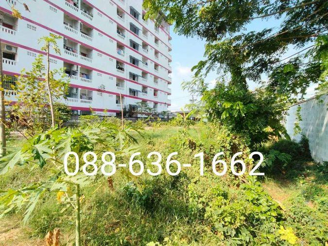 รูป ขายที่ดิน 206ตรว.ทำเลดี พิกัด บางแค เพชรเกษม หนองแขม ใกล้ อพาร์ทเม้นท์ โรงเรียน ตลาด ฯ - รูปที่ 7/11