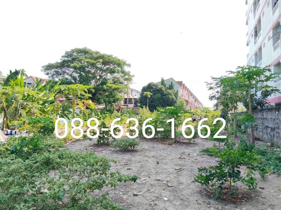 รูป ขายที่ดิน 206ตรว.ทำเลดี พิกัด บางแค เพชรเกษม หนองแขม ใกล้ อพาร์ทเม้นท์ โรงเรียน ตลาด ฯ - รูปที่ 9/11