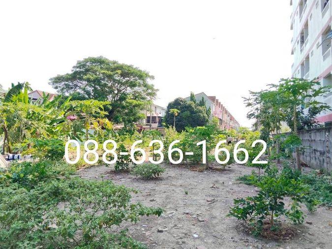 รูป ขายที่ดิน 206ตรว.ทำเลดี พิกัด บางแค เพชรเกษม หนองแขม ใกล้ อพาร์ทเม้นท์ โรงเรียน ตลาด ฯ - รูปที่ 9/11