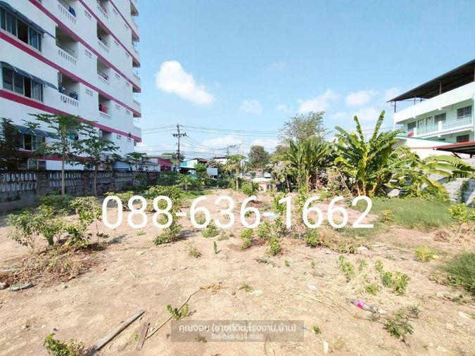 รูป ขายที่ดิน 206ตรว.ทำเลดี พิกัด บางแค เพชรเกษม หนองแขม ใกล้ อพาร์ทเม้นท์ โรงเรียน ตลาด ฯ - รูปที่ 4/11