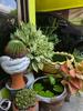 listing thumbnail image 6
