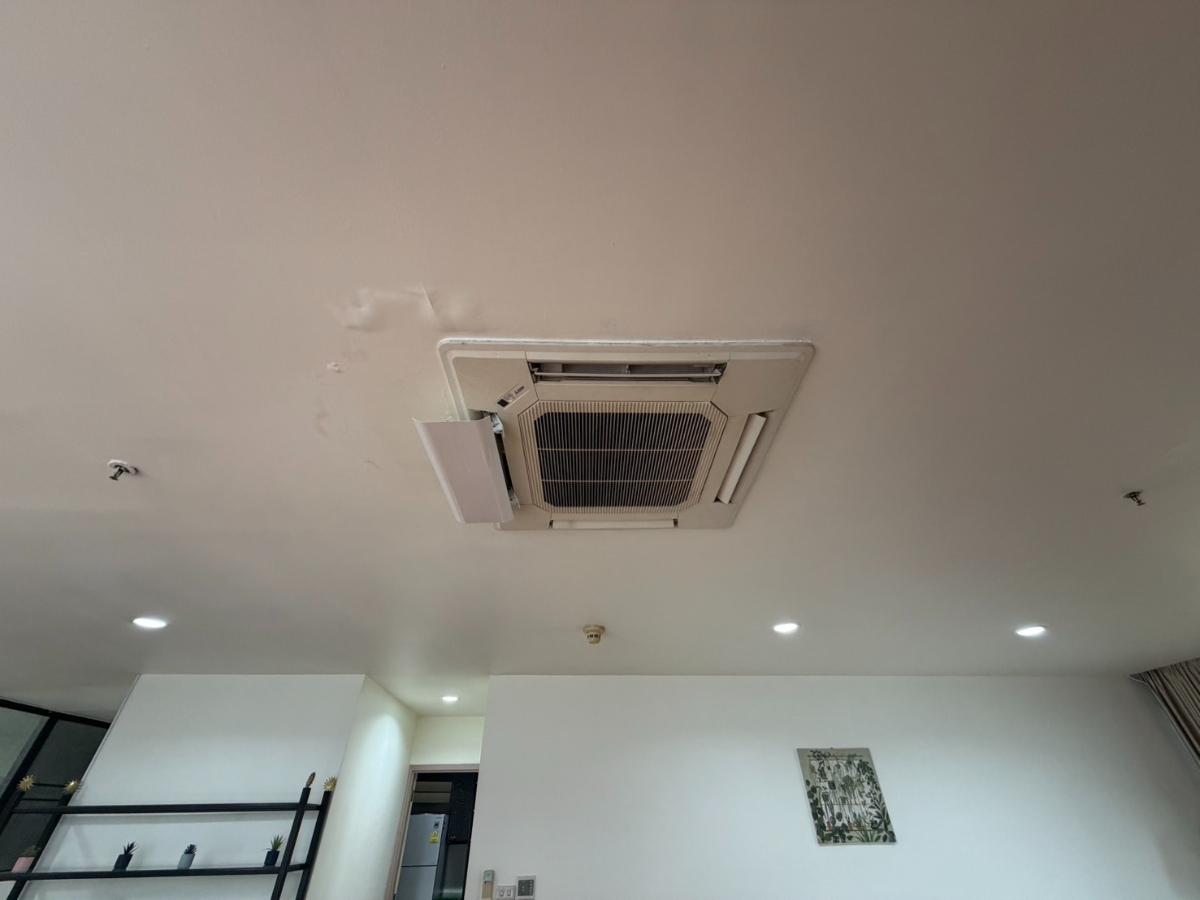 รูป Best Price 🔥ให้เช่า New House ห้องสวยพร้อมอ่างอาบน้ำ พื้นที่กว้าง ราคาดีมาก ตกแต่งครบพร้อมอยู่ | Code DS2211 Line : @Dstay - รูปที่ 34/34