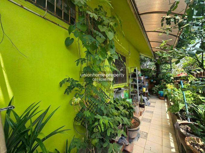 รูป ขายบ้านเดี่ยว สุขุมวิท101 ร่มรื่นเหมาะพักอาศัย ใกล้ BTS บางจาก (N.2041) - รูปที่ 6/13