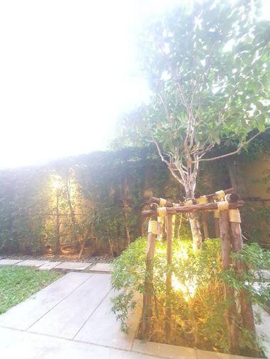 picture For rent Noble Ambience Sukhumvit 42 Nice room great price Fully Finished DS2617 | Line @Dstay - 19/20