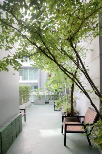 รูป คอนโดให้เช่า :DLV Thonglor 20 (ดี แอล วี ทองหล่อ 20) ((BTS Thonglor  ทองหล่อ )) MK-02 line @livingbkk - รูปที่ 13/13