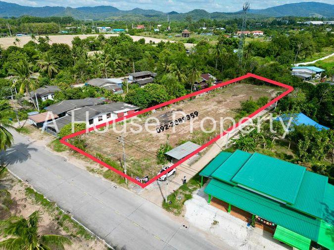 รูป ขายที่ดินราคาถูก ติดถนน ศรีราชา-หนองค้อ 41/3 ใกล้สวนเสือศรีราชา - รูปที่ 1/8