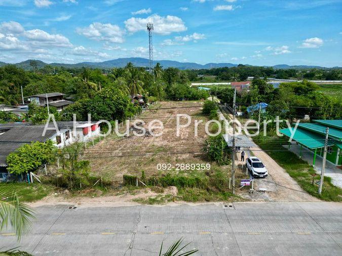 รูป ขายที่ดินราคาถูก ติดถนน ศรีราชา-หนองค้อ 41/3 ใกล้สวนเสือศรีราชา - รูปที่ 3/8