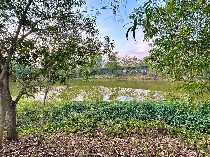 รูป ขายที่ดินบางพระ โครงการคุณภาพ มบ.ปัญญารีสอร์ท ใกล้แหล่งชุมชน - รูปที่ 6/9