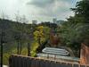 listing thumbnail image 27