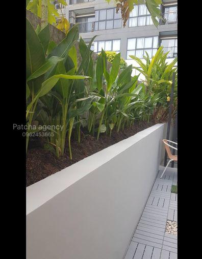 รูป ว่างพร้อมอยู่! The Green3. 1นอน 40ตร.ม. Line id: @pfagent - รูปที่ 9/9