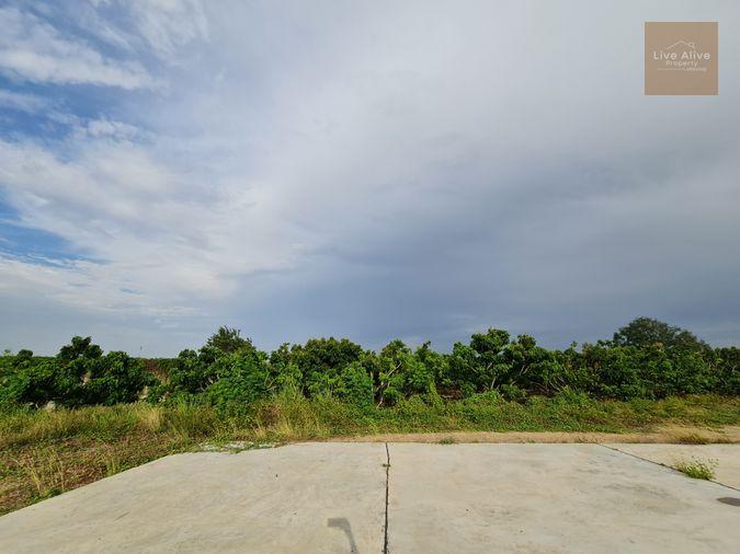 รูป ขายด่วน ที่ดินแปลงสวยพร้อมโกดัง ทำเลดีสันป่าตอง เชียงใหม่ - รูปที่ 10/13